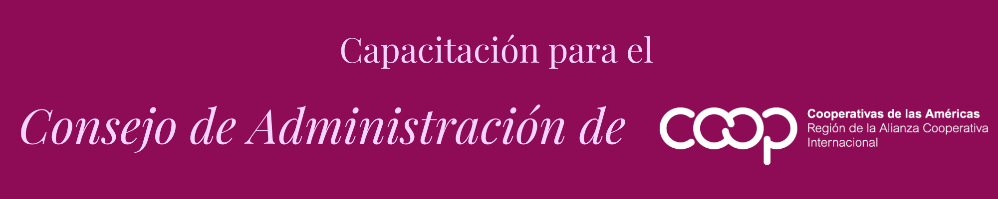 Capacitación Consejo de Administración