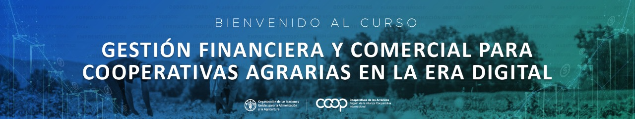 CURSO AUTOADMINISTRADO GESTIÓN FINANCIERA Y COMERCIAL PARA COOPERATIVAS AGRARIAS EN LA ERA DIGITAL